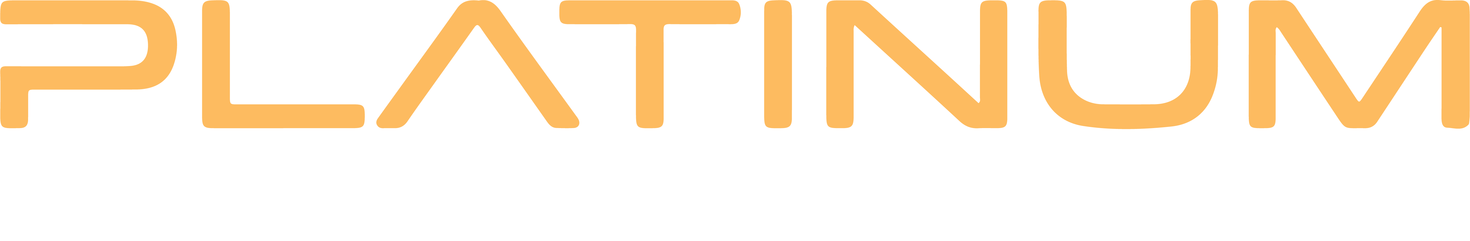 Platinum First Rent a Car